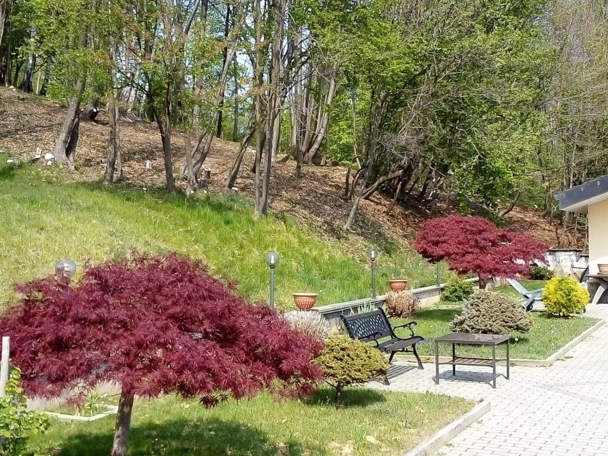 Appartamento La Casa Nel Bosco Rueglio ภายนอก รูปภาพ