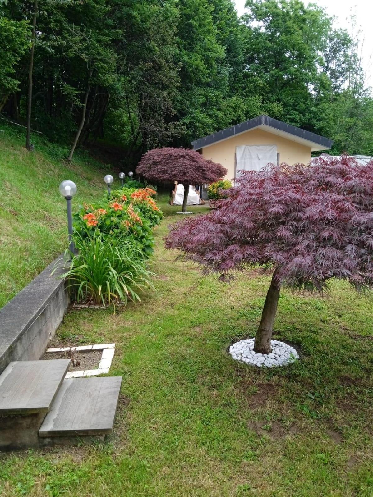 Appartamento La Casa Nel Bosco Rueglio ภายนอก รูปภาพ